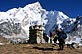 Nuptse