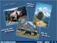 Les yaks